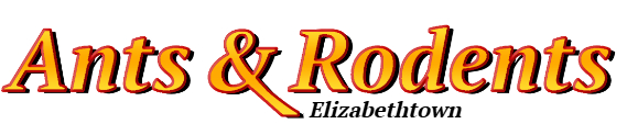 Elizabethtown Ant Exterminator & Rodent Control Company Logo